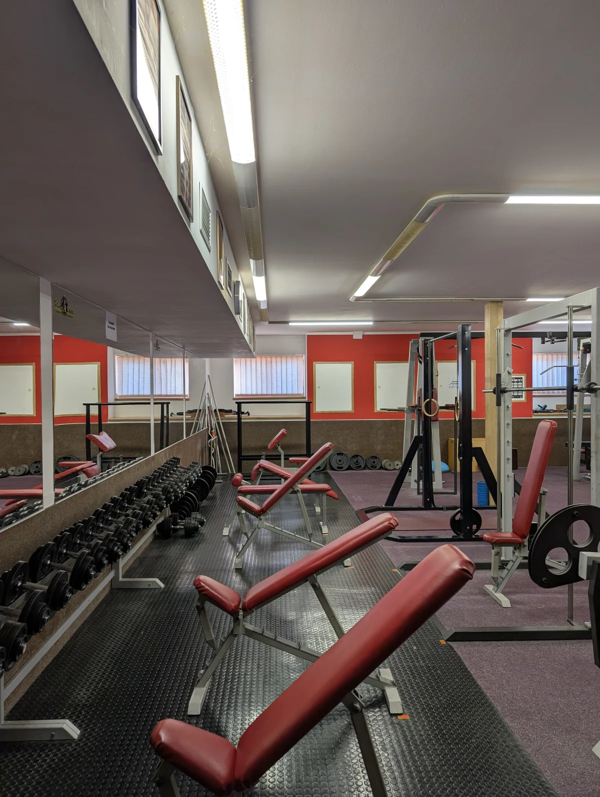 Místnost vybavená posilovacími stroji na horní část těla, vyrovnané činky, zrcadla