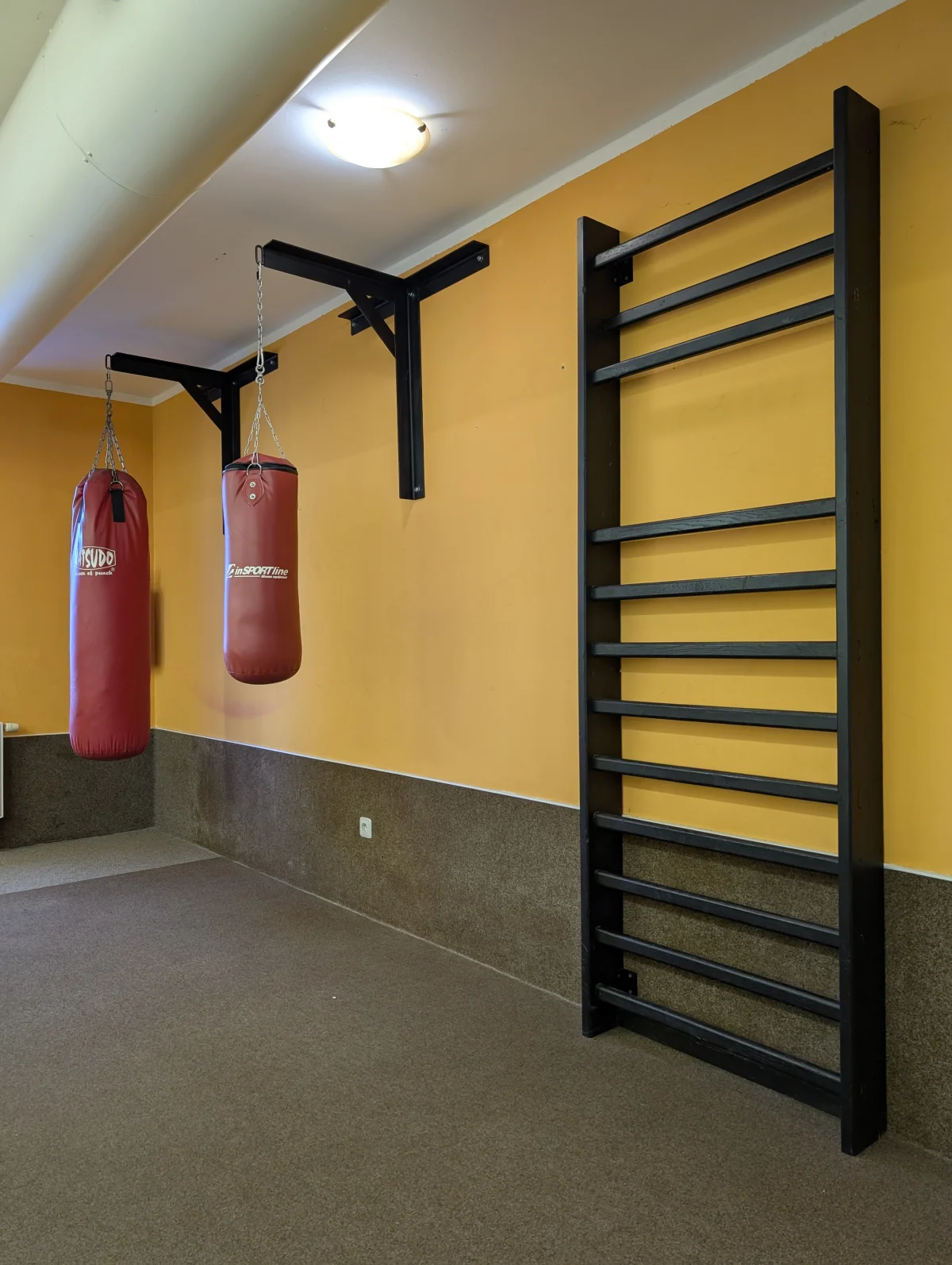 Kardio zóna, žebřík, boxovací pytle