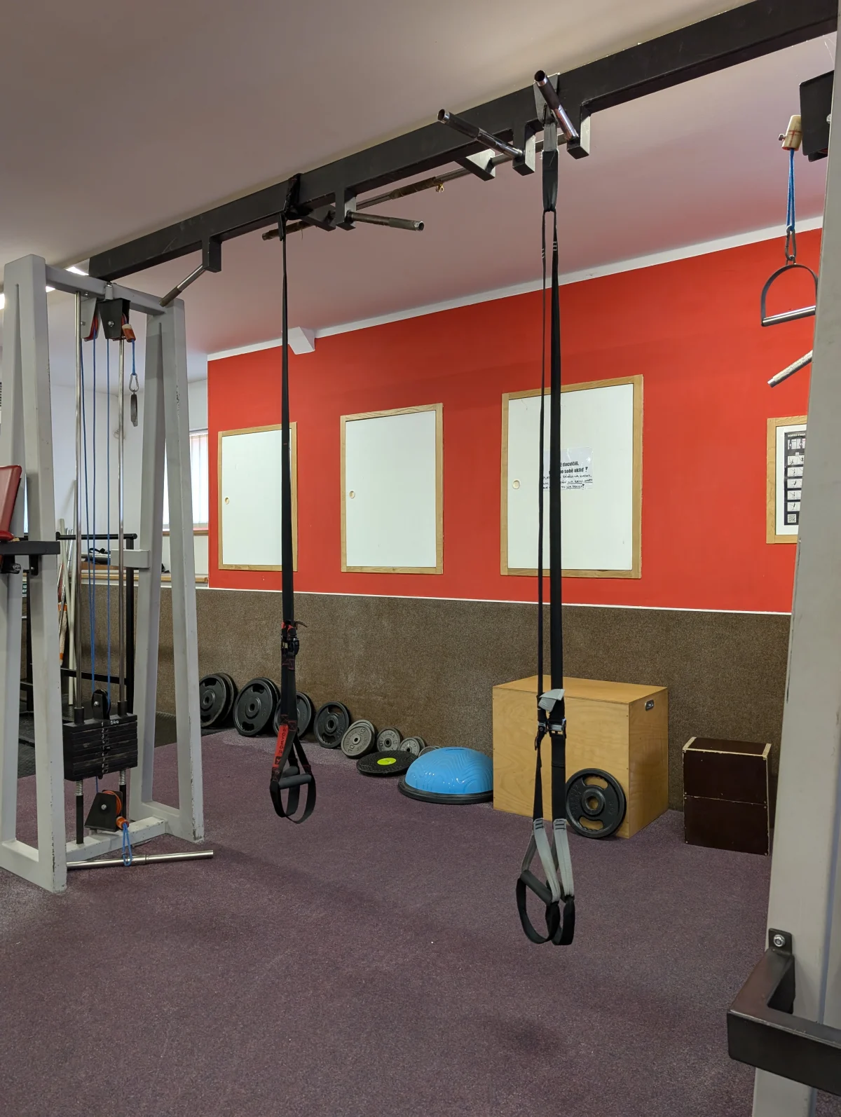 Závěsné posilovací systémy, (TRX) a balanční míč